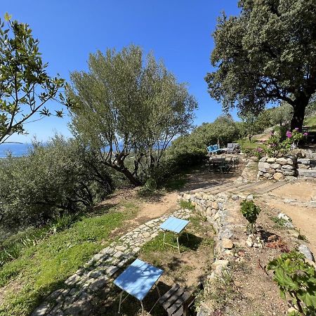 Casa Musicale Hotel Pigna Eksteriør billede
